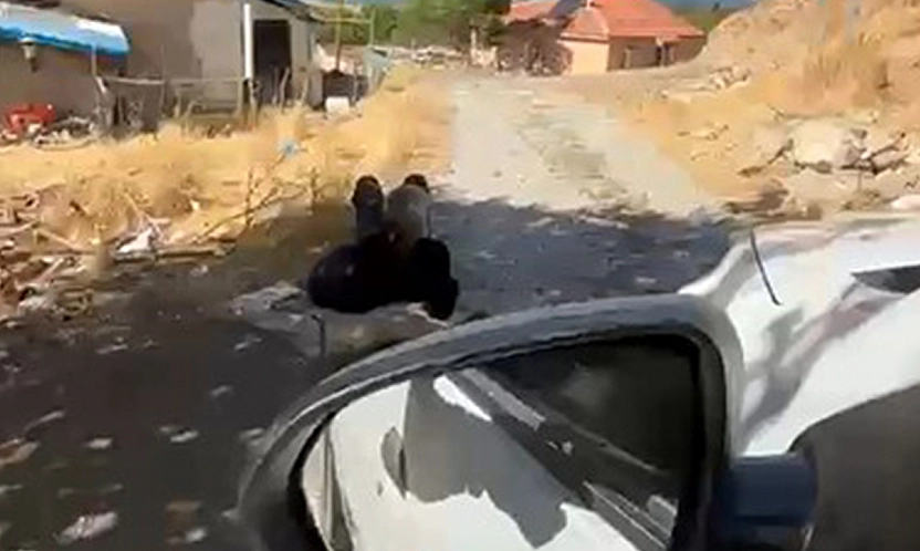 Elazığ'da şok görüntü: Yaşlı adam ağaca zincirlenmiş halde bulundu