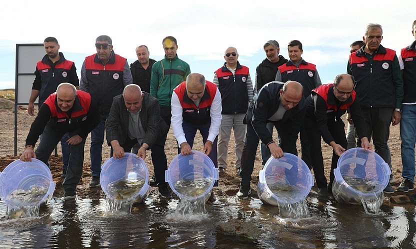 Elazığ'da su kaynakları canlanıyor: Kalecik Barajı'na 11 bin 800 sazan yavrusu bırakıldı