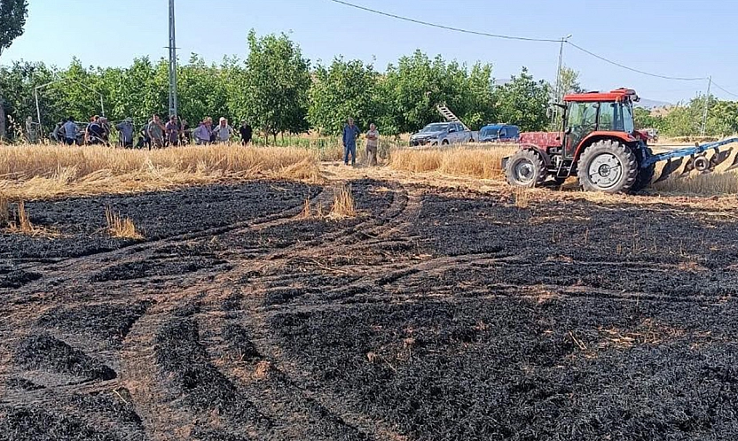 Elazığ'da tarla alevlere teslim oldu