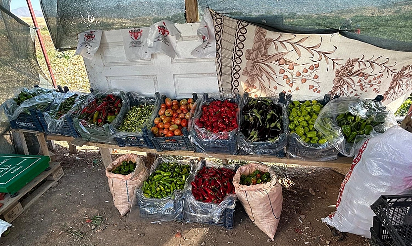 Elazığ'da tarladan sofraya uygun fiyatlı sebze