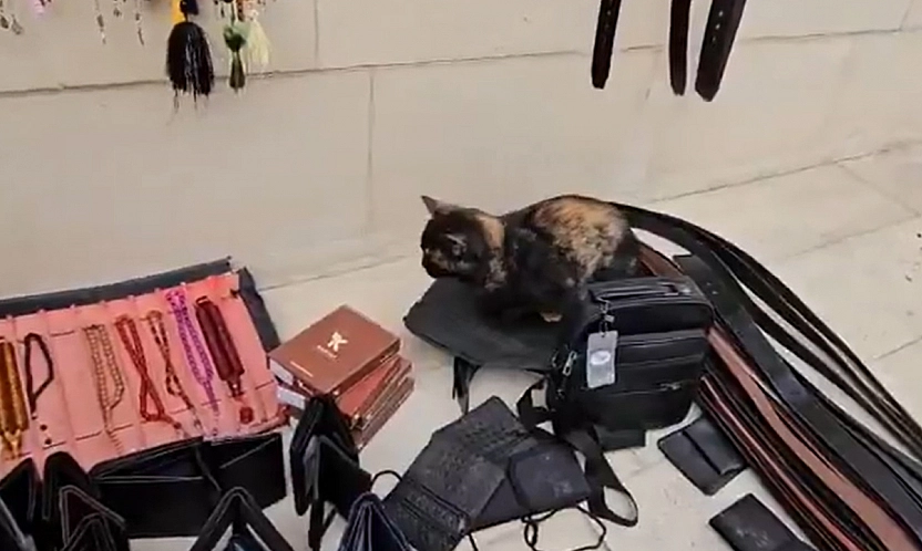 Elazığ'da tezgahını geç açan satıcıya kedisinin gösterdiği tepki, gündem oldu