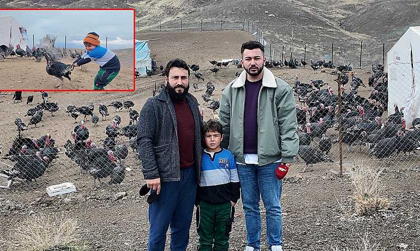 Elazığ'da koç fiyatına hindi