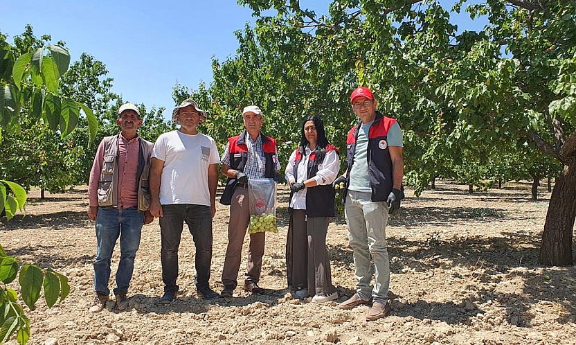 Elazığ'da üretim alanlarında pestisit takibi