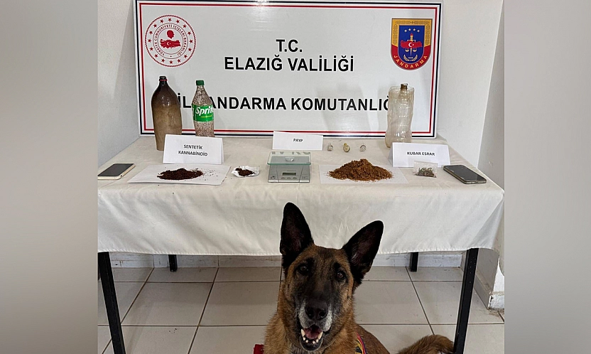 Elazığ'da uyuşturucuya geçit yok!