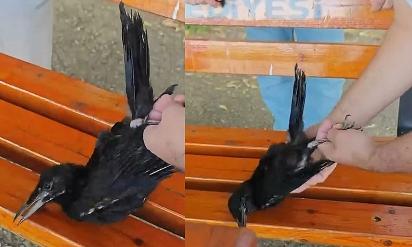 Elazığ'da vatandaştan yürek ısıtan hareket