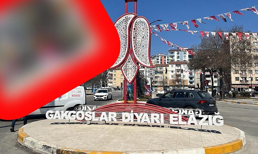 Elazığ'da yağmur bereketiyle geldi