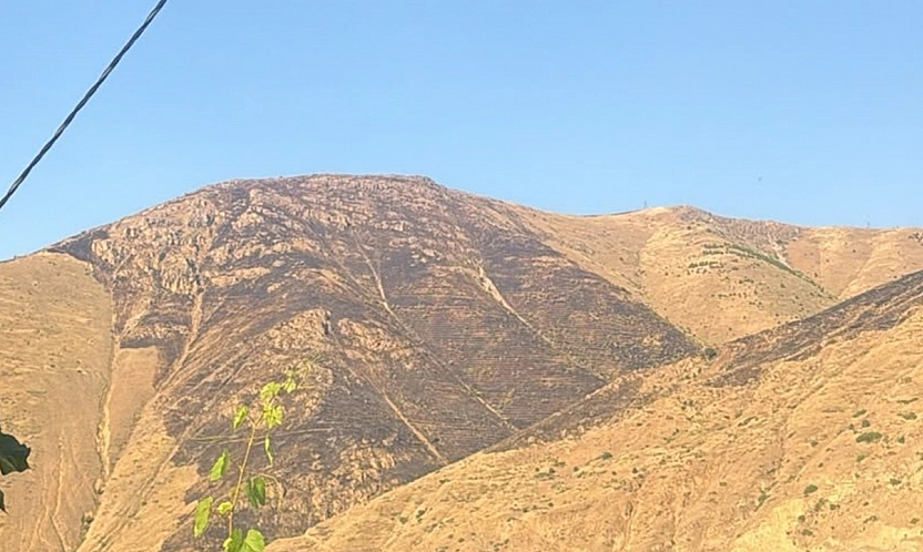 Elazığ'da yangın kontrol altına alındı