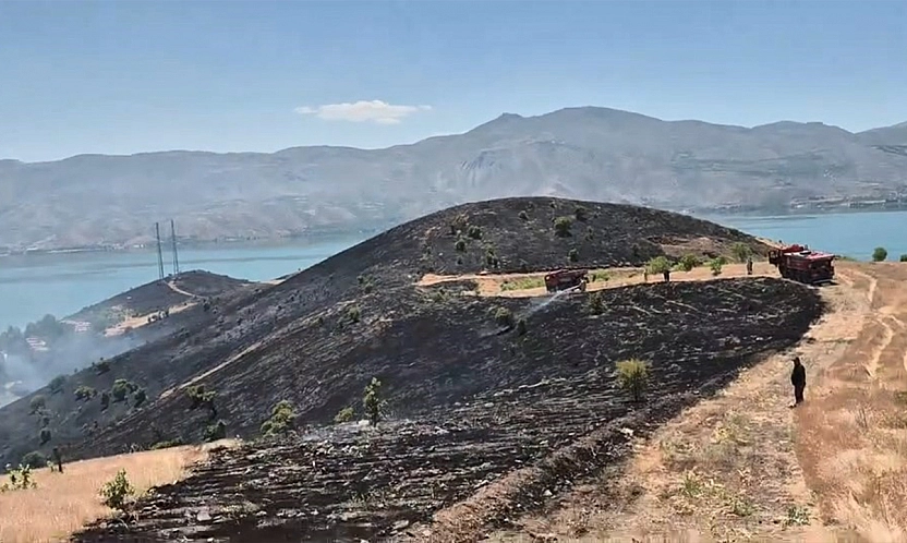 Elazığ'da yangın panik yarattı