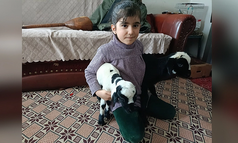 Elazığ'da yeni doğan kuzulara evde koruma