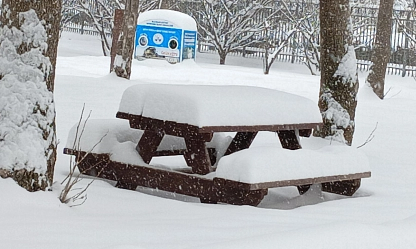 Elazığ'da yoğun kar, ulaştığı cm ile dikkat çekti