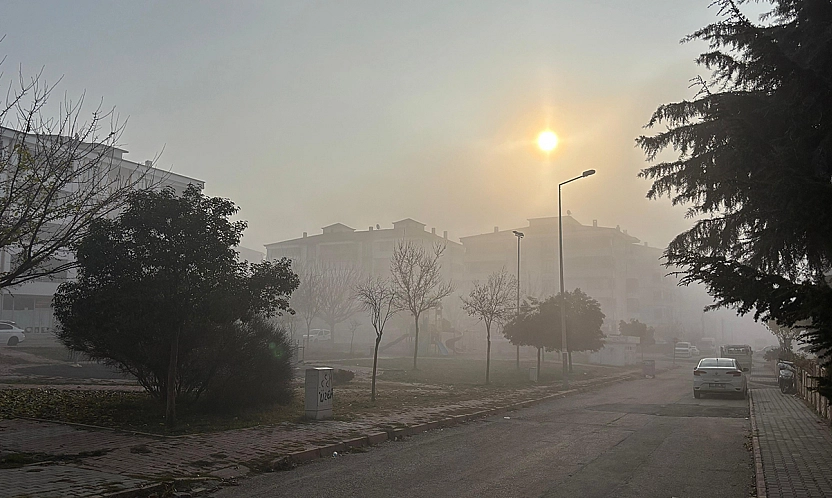 Elazığ'da yoğun sis etkili oldu