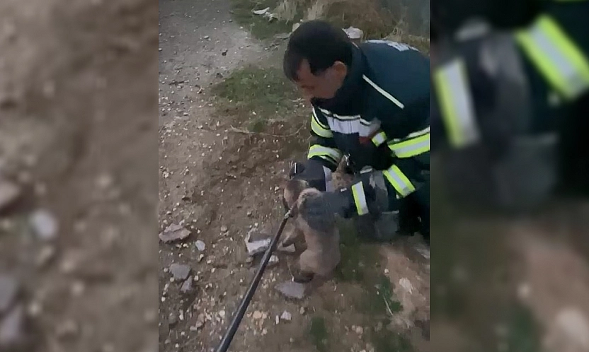 Elazığ'da yürek ısıtan kurtarma operasyonu