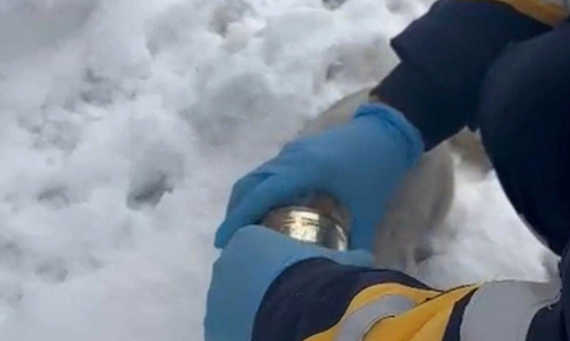 Elazığ'da yürekleri ısıtan görüntü