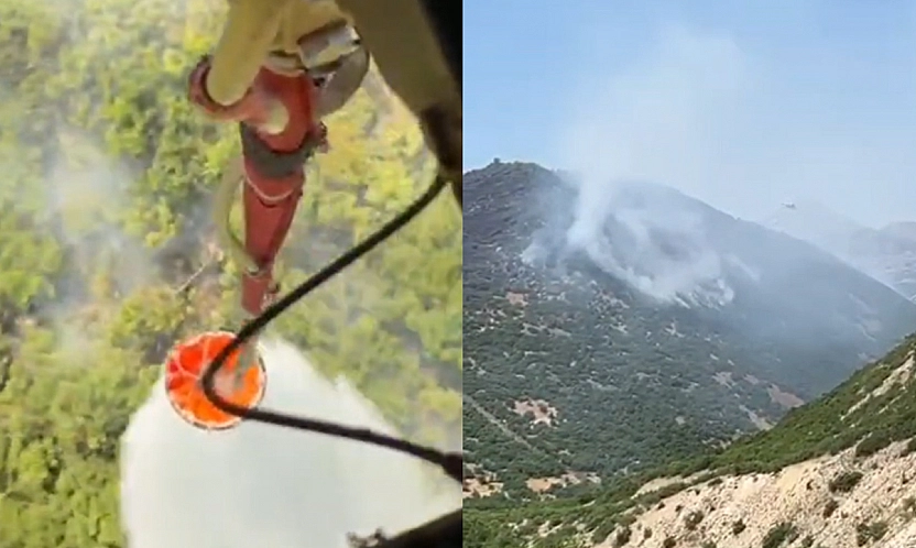 Elazığ'daki orman yangını kontrol altına alındı