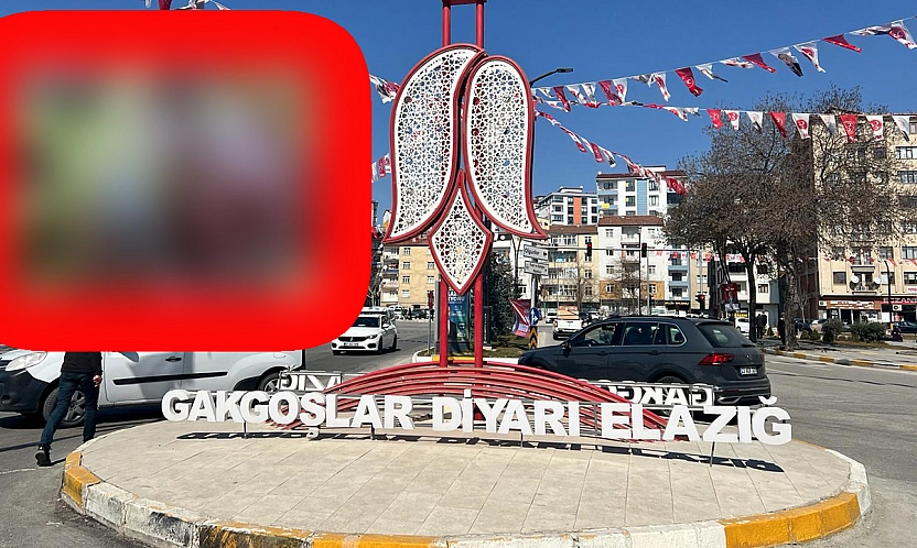 Elazığ'ın bu patlıcanı bildiklerinizden farklı