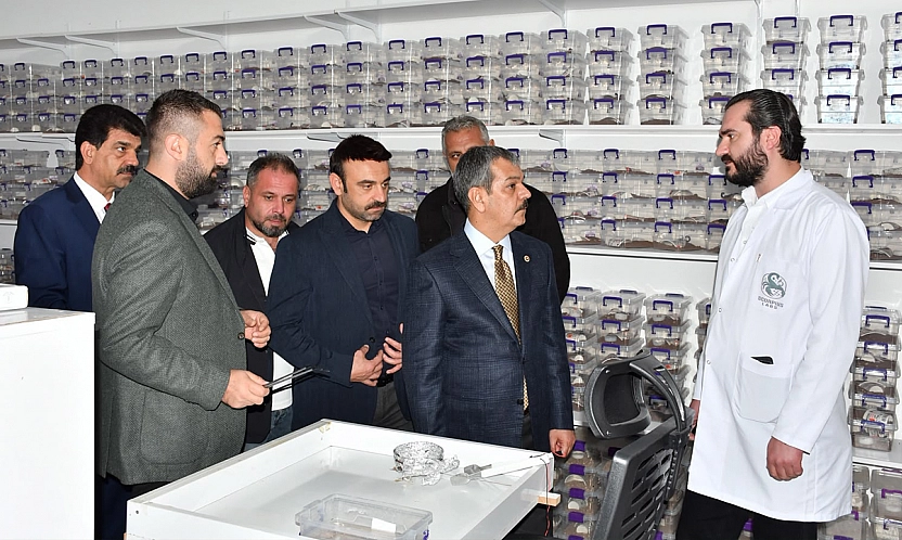Erol Keleş akrep zehri üretimini yerinde inceledi