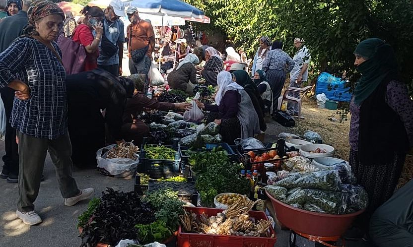 Gezin Cuma Pazarı'nda iğne atsan yere düşmüyor: Yoğunluk var, bütçe yok!