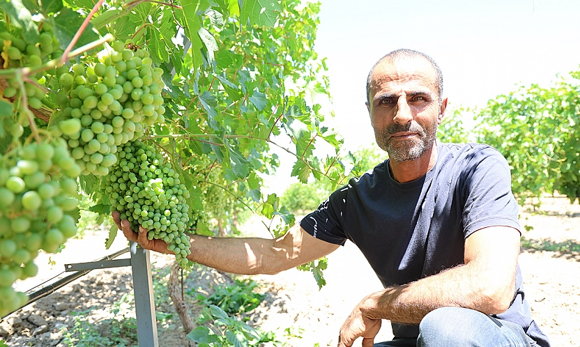 Gurbetten döndü, Elazığ'da 300 dönümü bağa dönüştürdü