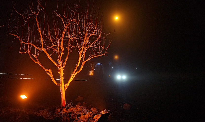 Harput Mahallesi'nde göz gözü görmedi