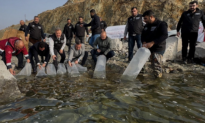Karakaya Baraj Gölü'ne 420 Bin Yavru Balık Bırakıldı