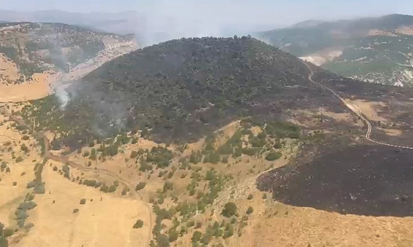 Karakoçan'da orman yangını kontrol altına alındı