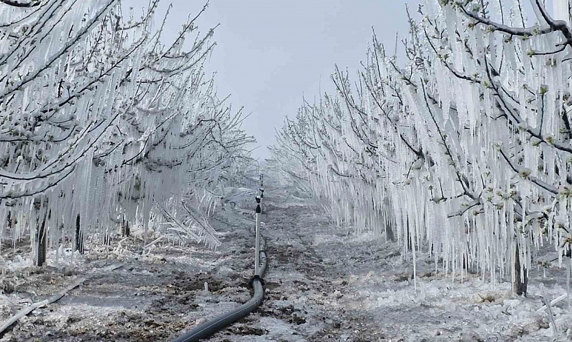 Meteoroloji'den Elazığ'a 'Dikkatli tedbirli olun' uyarısı yapıldı!