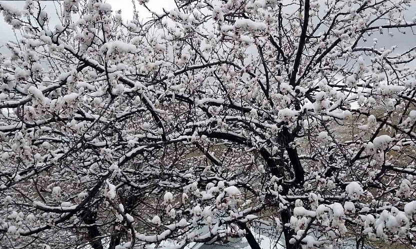 Meteoroloji'den Elazığ'a uyarı geldi!