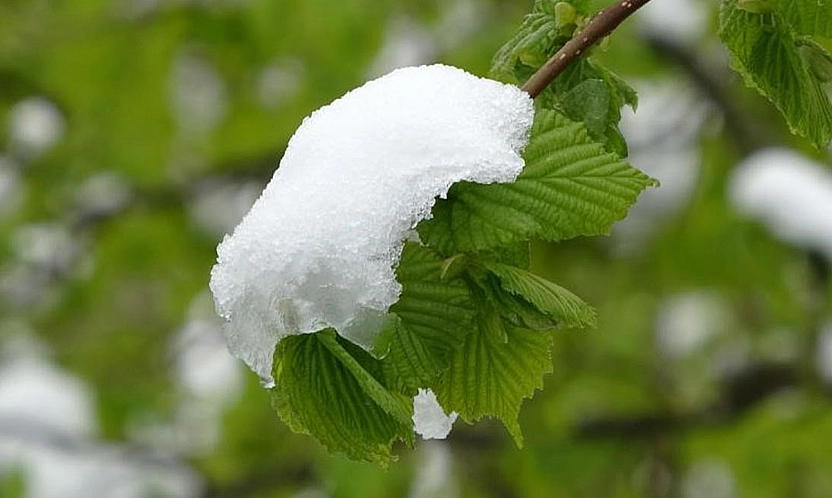 Meteoroloji uyardı! Elazığlılar tedbirinizi alın