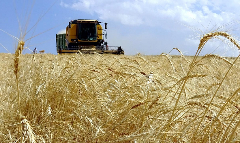 Resmi gazete'de yayımlandı: tarım alanlarında yeni kurallar