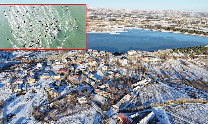 Soğuk hava Cip Barajı'nda yaban hayatını görsel şölene dönüştürdü