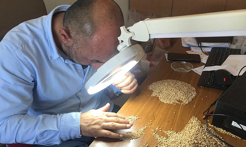 Süne Emgi analizi çalışmaları sürüyor