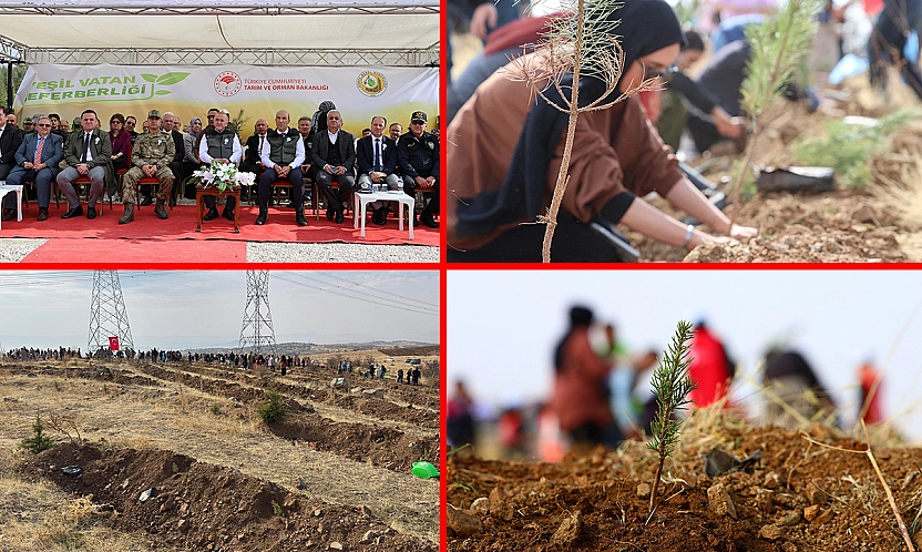 Törensel ağaç dikimleri