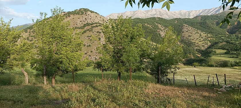 Elazığ'da Geleceğin Yıldızı Olmaya Aday Olan Bu Köy, Görenleri Büyülemeye Devam Ediyor!