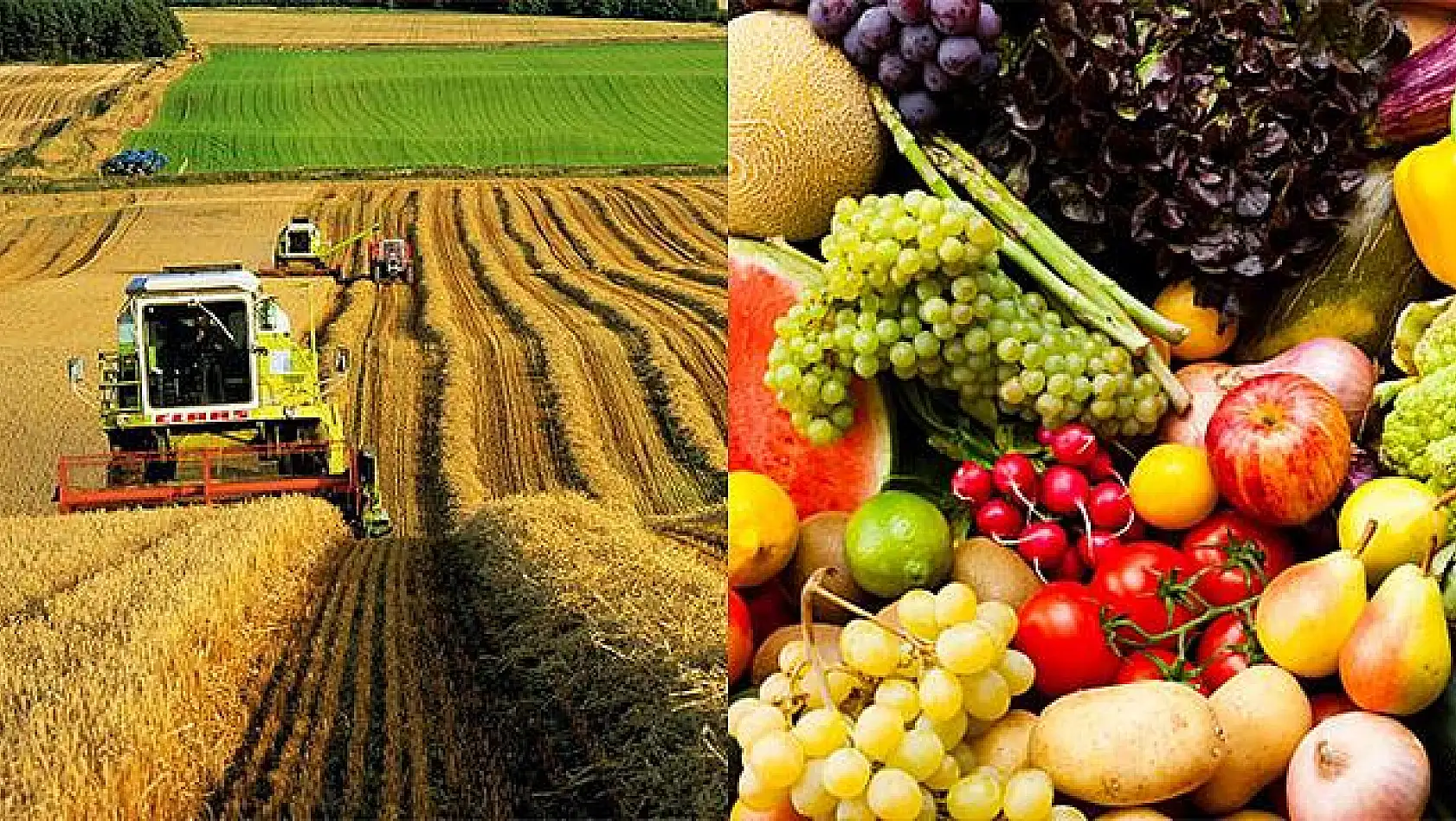  Tarım Ürünlerinde Bir Yılda Yüzde 11,11 Artış Meydana Geldi