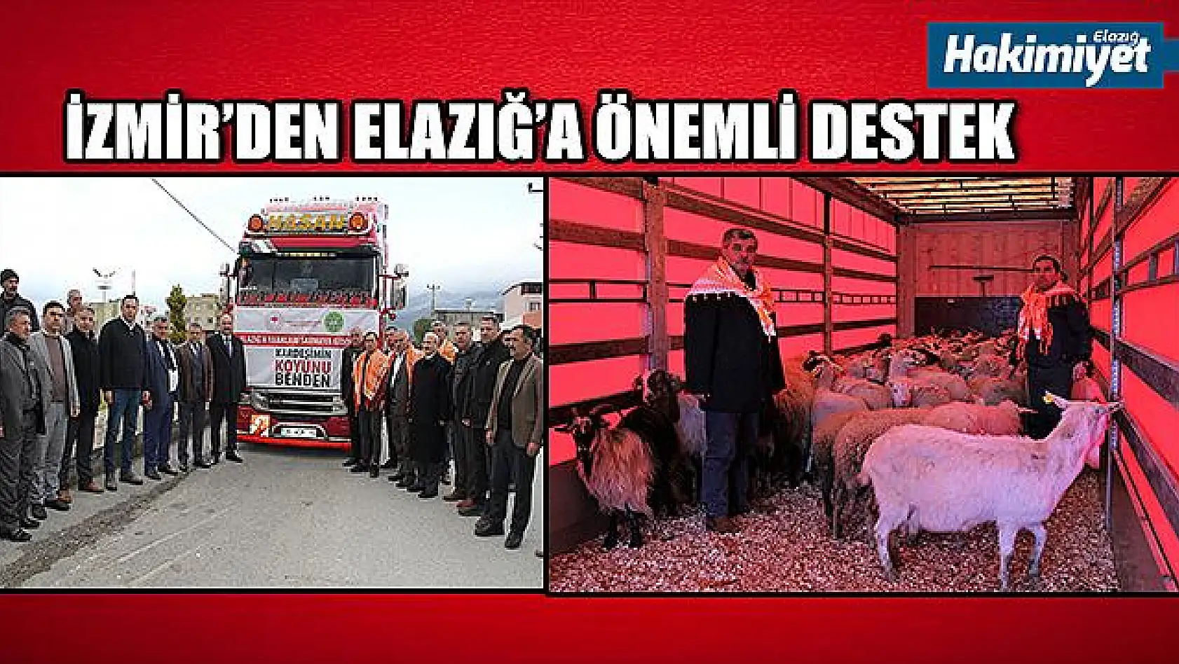 İzmir'den Elazığ'a 85 koyun gönderildi