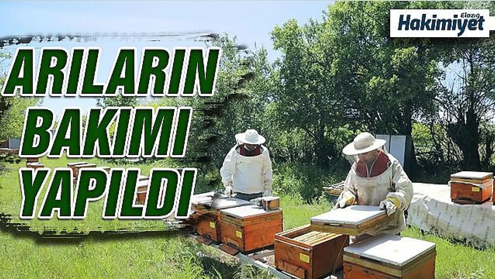 Tunceli'de Vefa Grubu arı bakımı yaptı