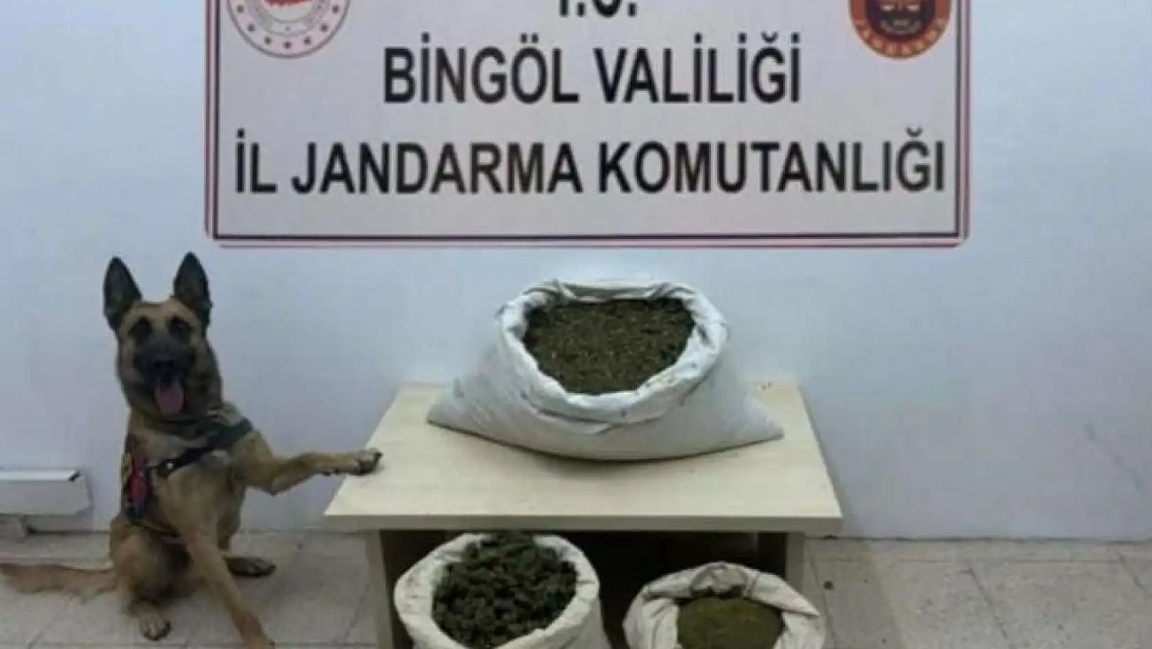Bingöl'de 6 arazide uyuşturucu madde ele geçirildi