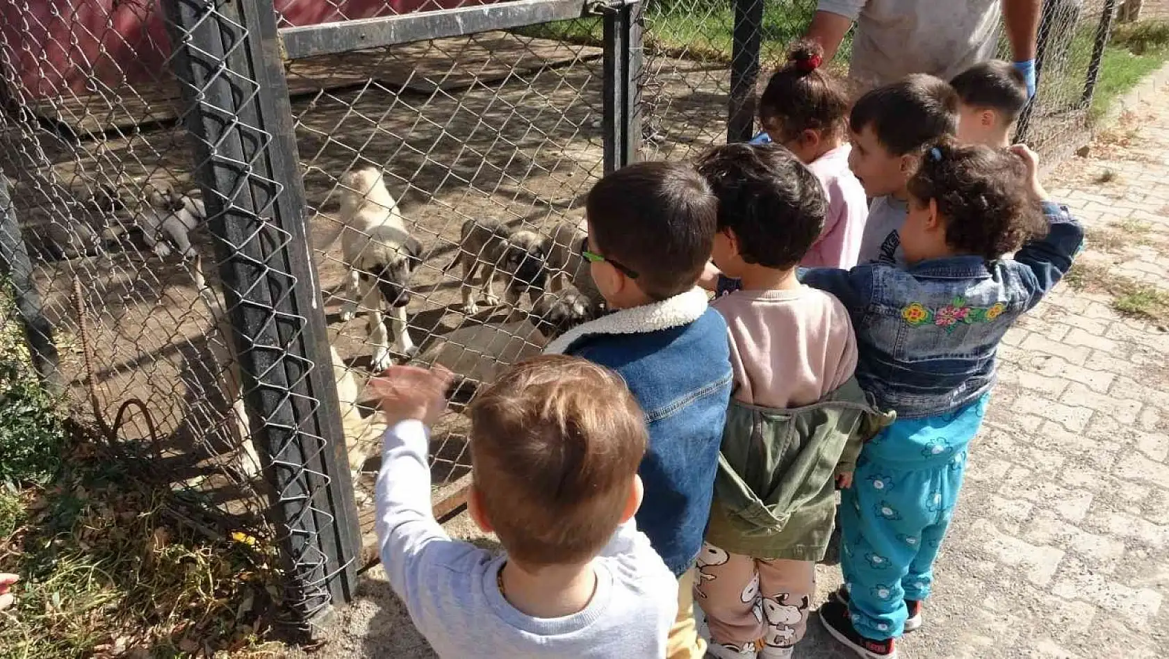 Bingöl'de çocuklar hayvan barınağını ziyaret etti