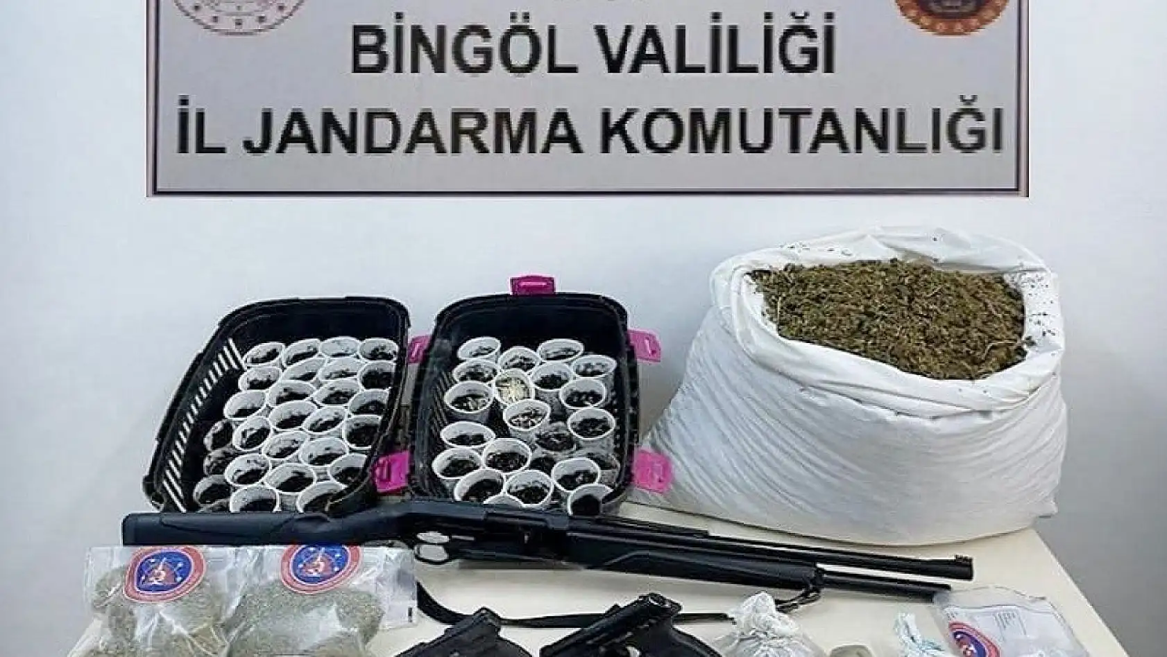 Bingöl merkezli iki ilde 'kökünü kurutma operasyonu': 15 gözaltı