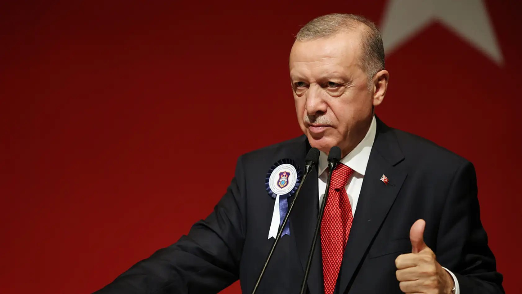 Cumhurbaşkanı Erdoğan'dan Başıboş Köpek Sorunuyla İlgili Açıklama