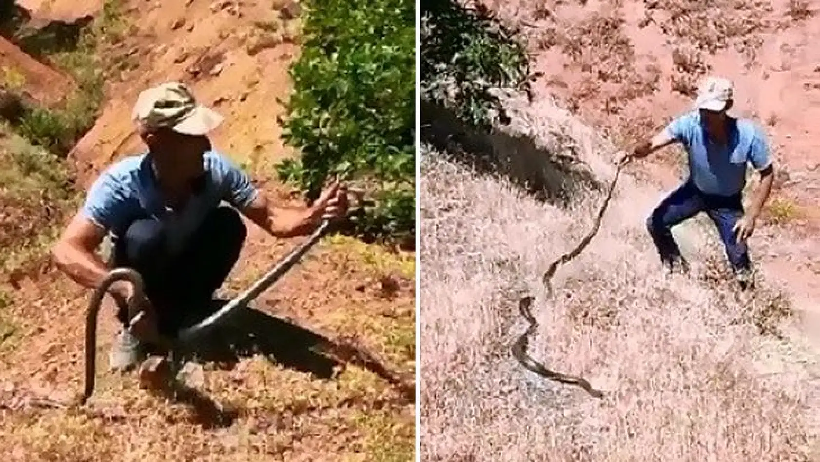 Dağda bulduğu 3 metrelik yılanı önce sevdi, sonra tekrar doğaya bıraktı