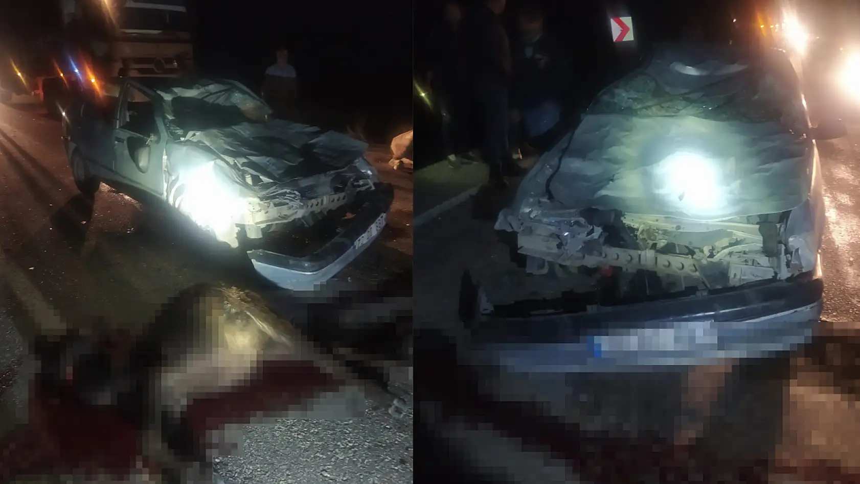 Diyarbakır'da Otomobil Mandalara Çarptı 2 Kişi Yaralandı 3 Manda Telef Oldu