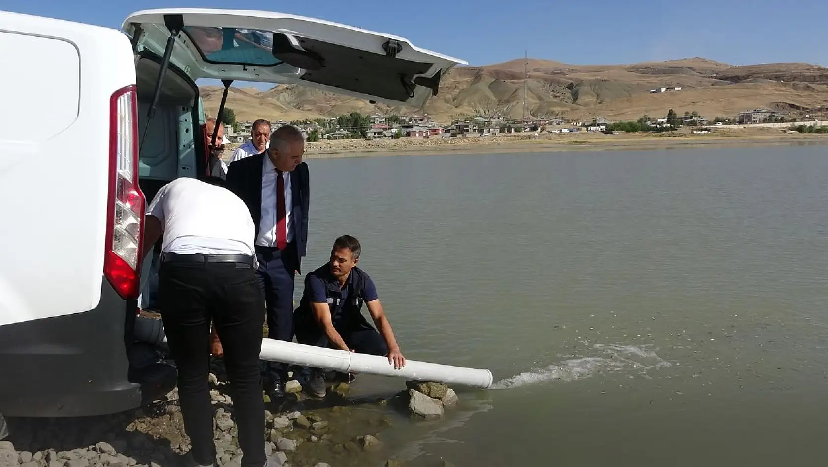 Elazığ'dan Gönderilen 1 Milyon Sazan Balığı Göletlere Bırakıldı