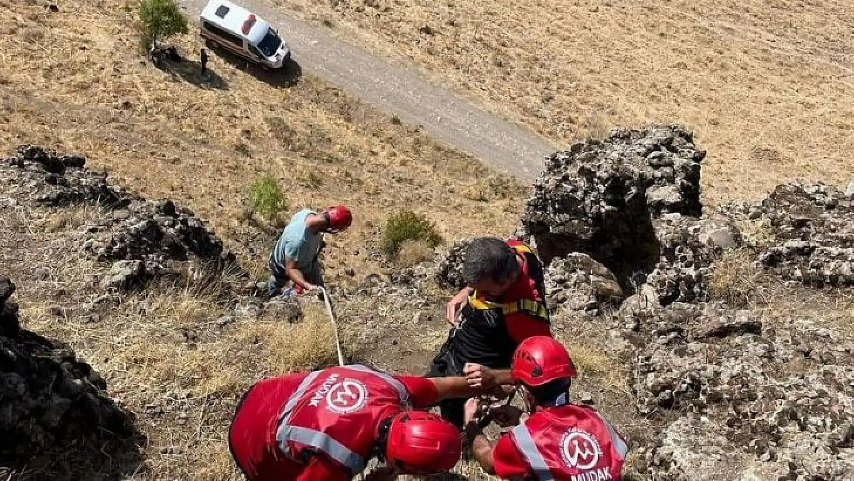 Tunceli'de kayalıklarda 3 gündür mahsur kalan hayvanlar kurtarıldı
