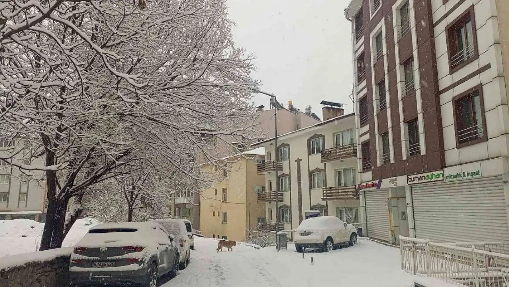 Tunceli'de özlenen kar yağışı başladı