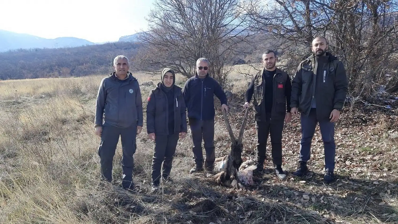 Tunceli'de yaban keçisi öldüren 4 kişiye 264 bin 576 lira ceza