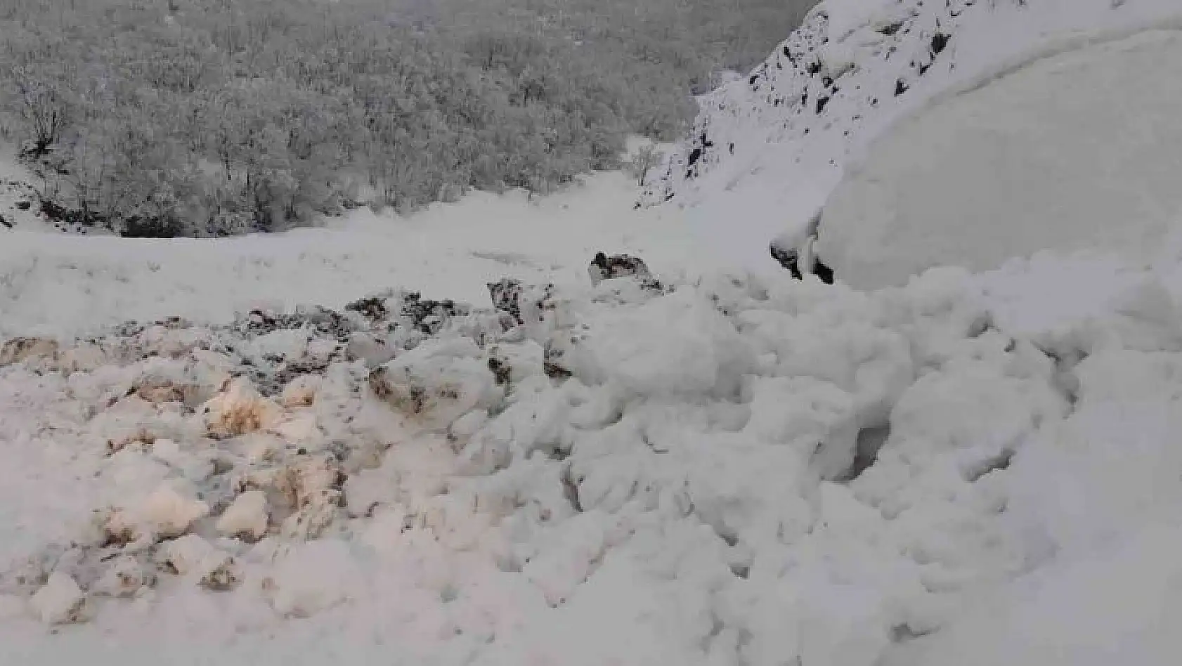 Tunceli'de yoğun kar yağışı nedeniyle zincirsiz tır geçişine izin verilmiyor