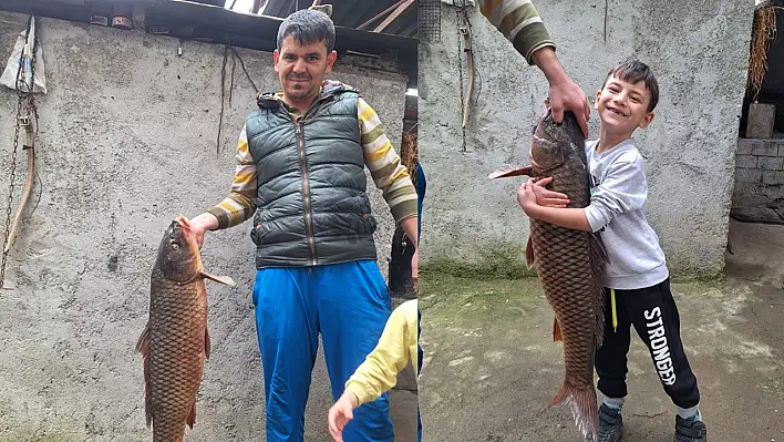 25 Kiloluk Sarı Balık Yakalandı
