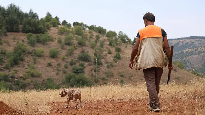 Elazığ'da Bir Vatandaş Şehir Şehir Gezerek Köpeğiyle 'Kara Elmas' Arıyor