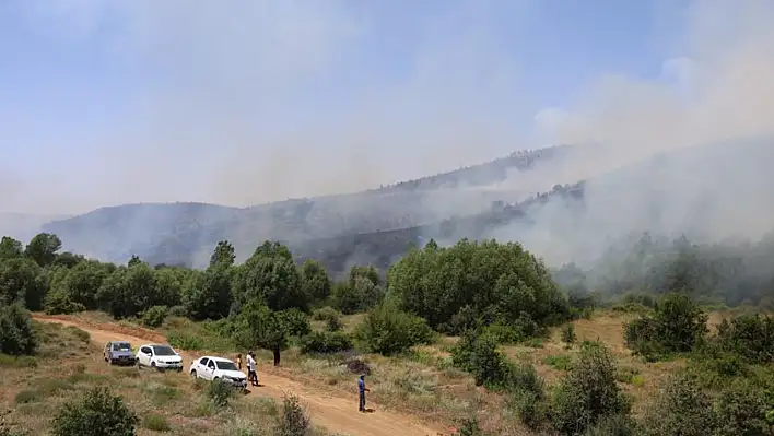 Elazığ'da Orman Yangını! Ekipler Saatlerdir Söndürmeye Çalışıyor
